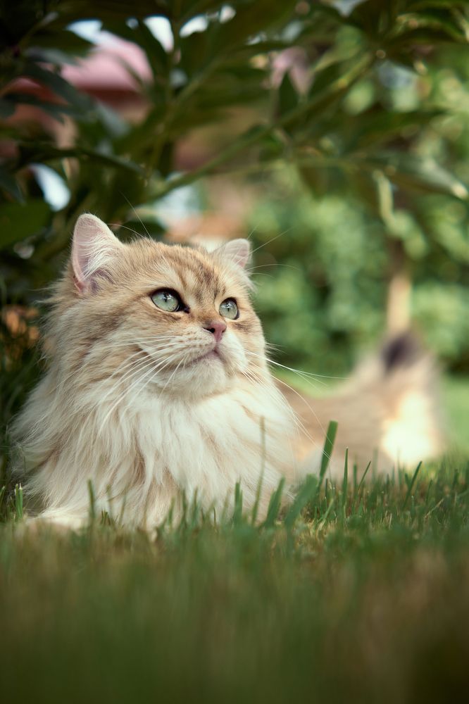 Photograph by Дмитрий Тельнов