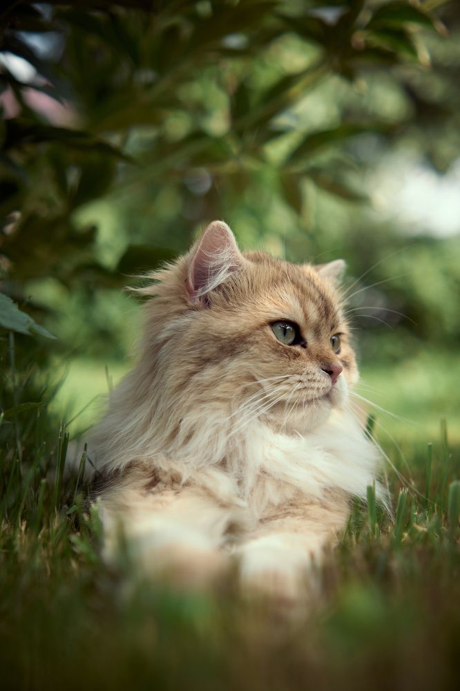 Photograph by Дмитрий Тельнов