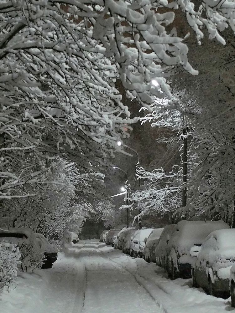 Photograph by Елена Харитонова