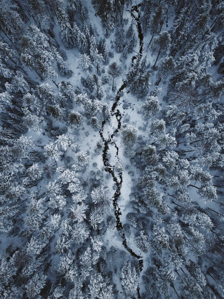 Фотография автора Вячеслав