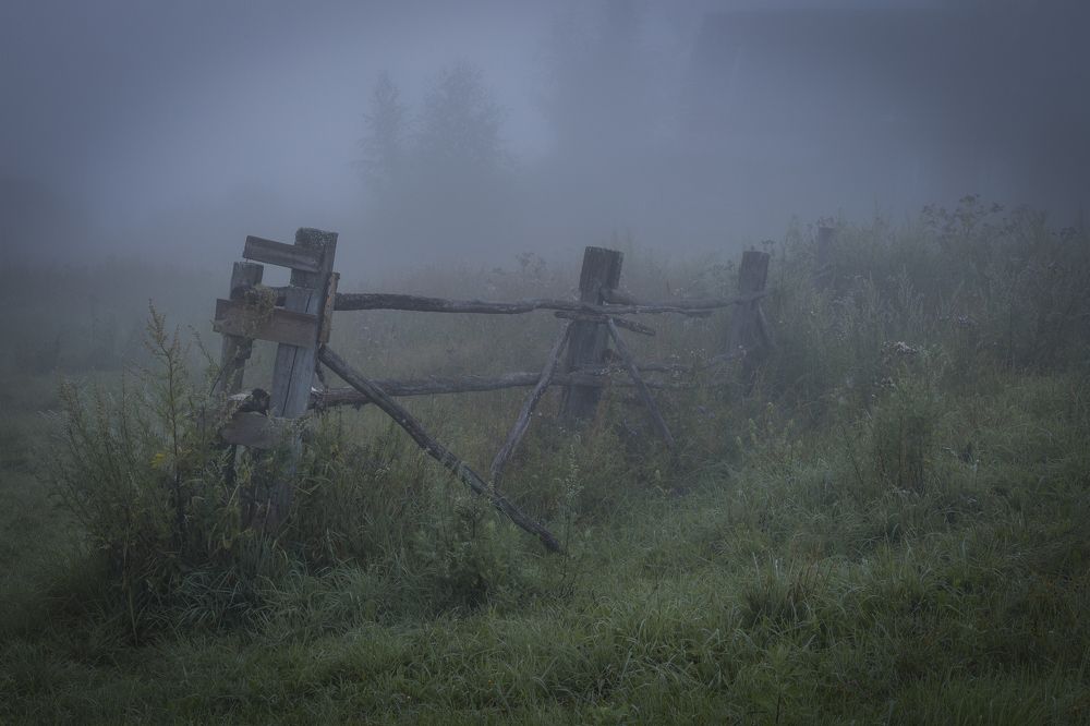 Photograph by Елена Гусева