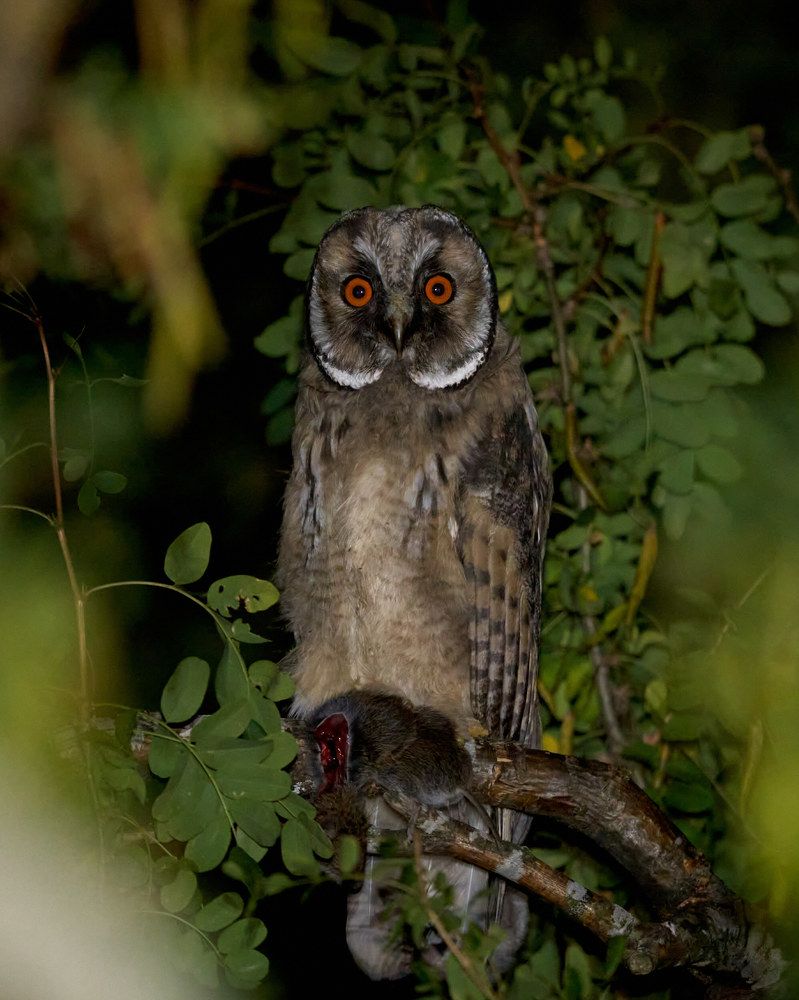 Photograph by Victor Krachkovsky