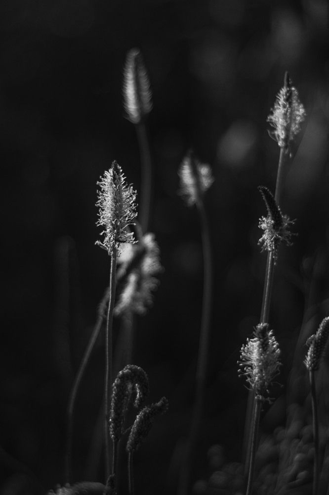 Photograph by Viktoria Alaküla