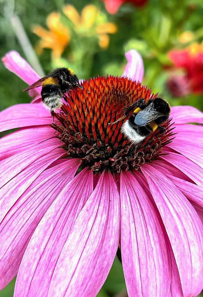 Photograph by Наталия Березина