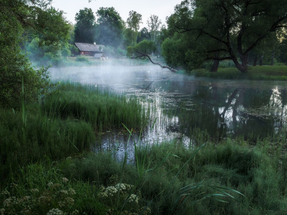 Photograph by Андрей Врубель