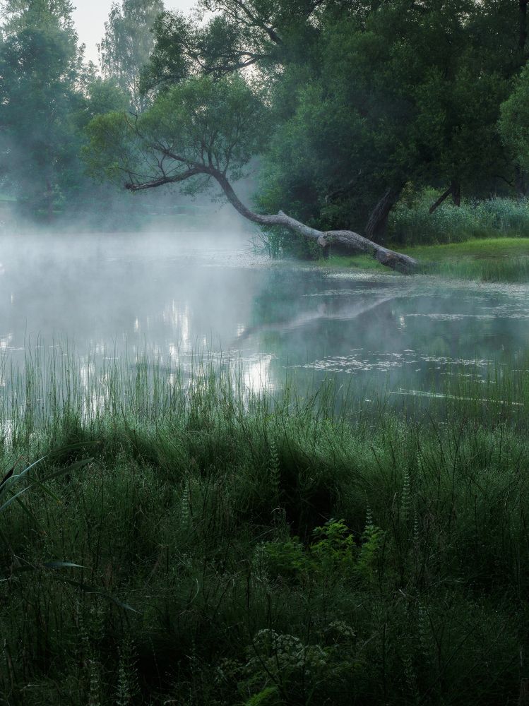 Фотография автора Андрей Врубель