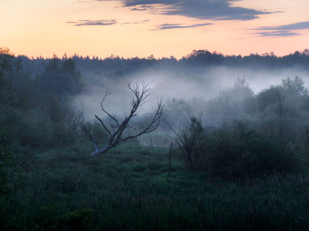 Фотография автора Андрей Врубель