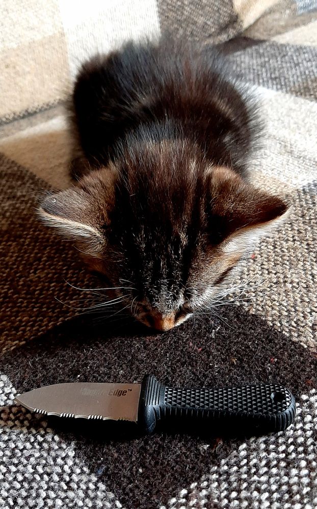 Photograph by Павел Минкевич