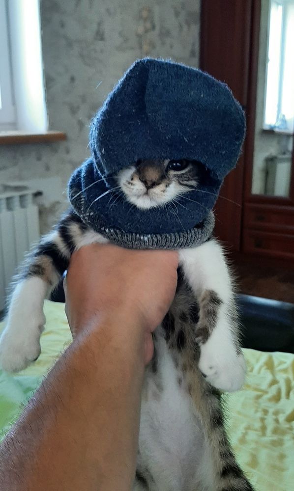 Photograph by Павел Минкевич