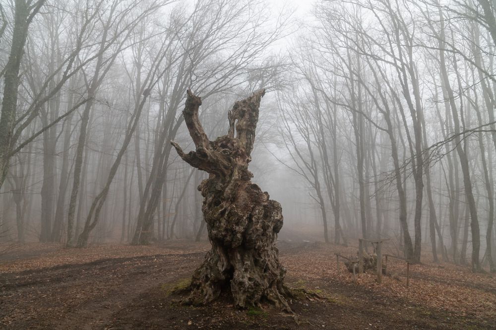 Photograph by Екатерина Крючкова