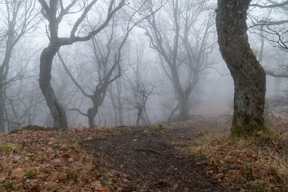 Photograph by Екатерина Крючкова