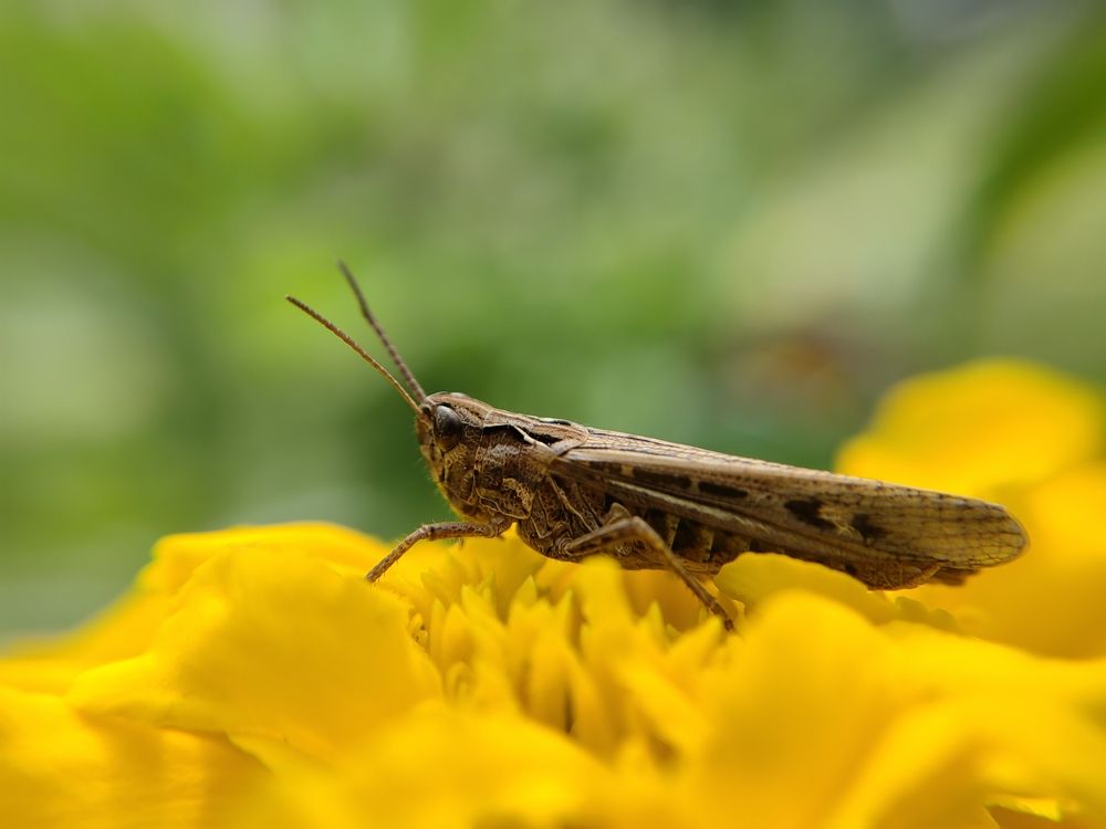 Photograph by Полина Александровна