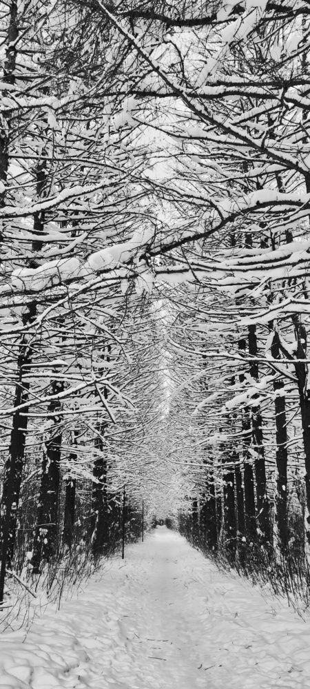 Photograph by Наталья Калюнова