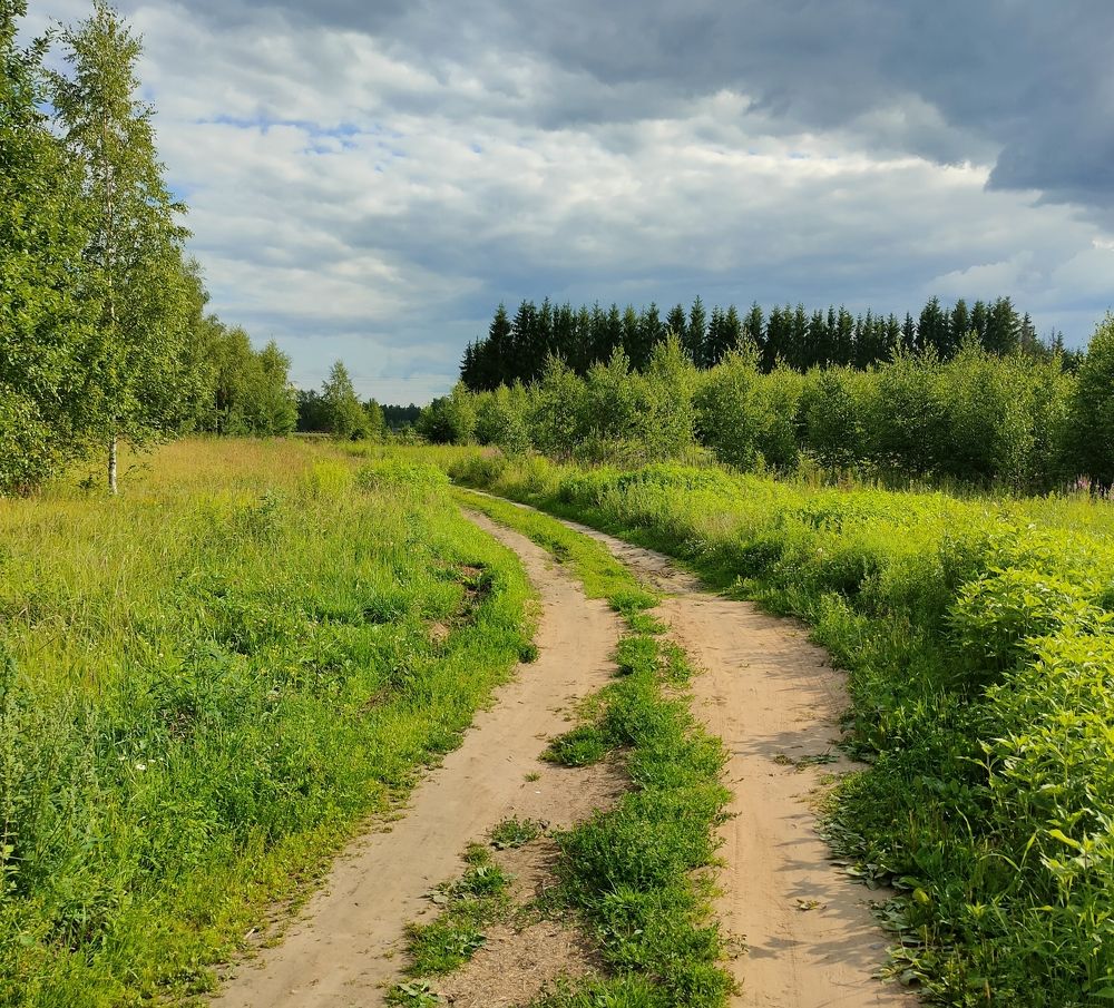 Фотография автора Светлана Смирнова