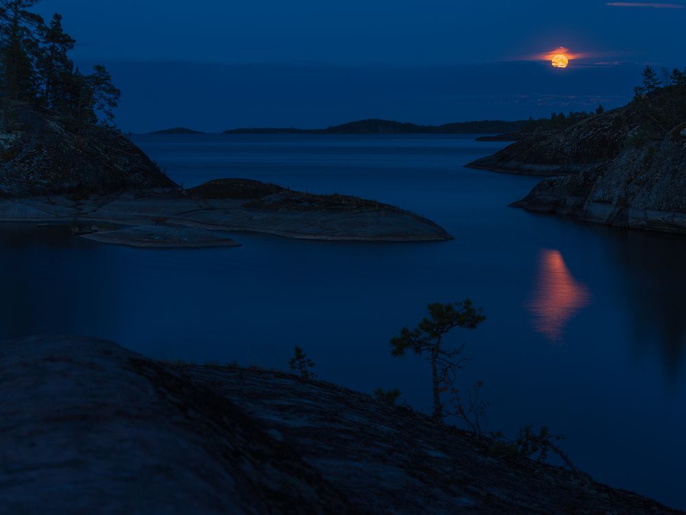 Photograph by Крицак Ольга