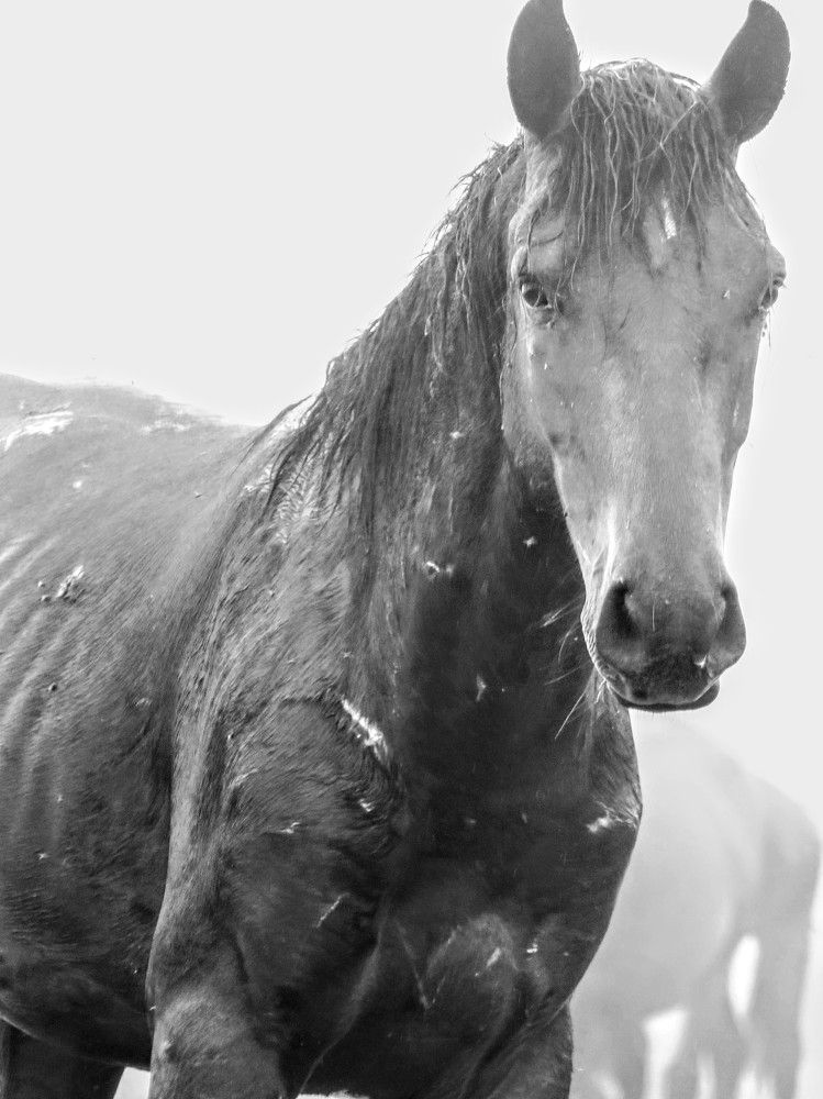 Photograph by Giuseppe Catalano