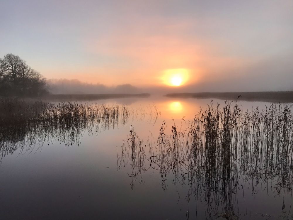 Photograph by Janina Segeda