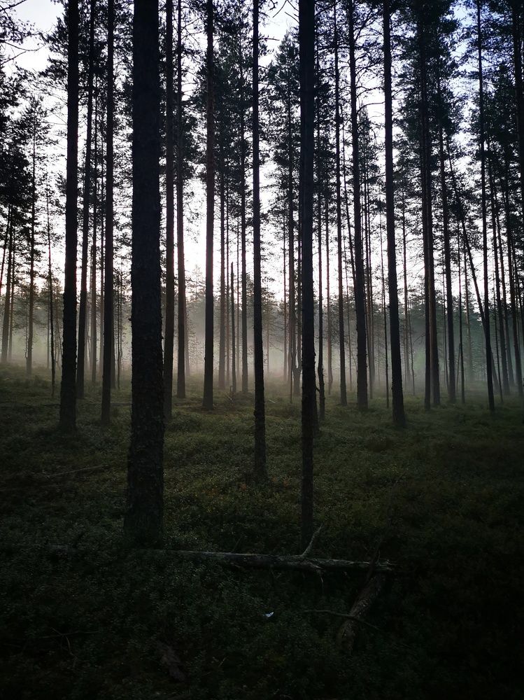 Photograph by Елена Артёменко