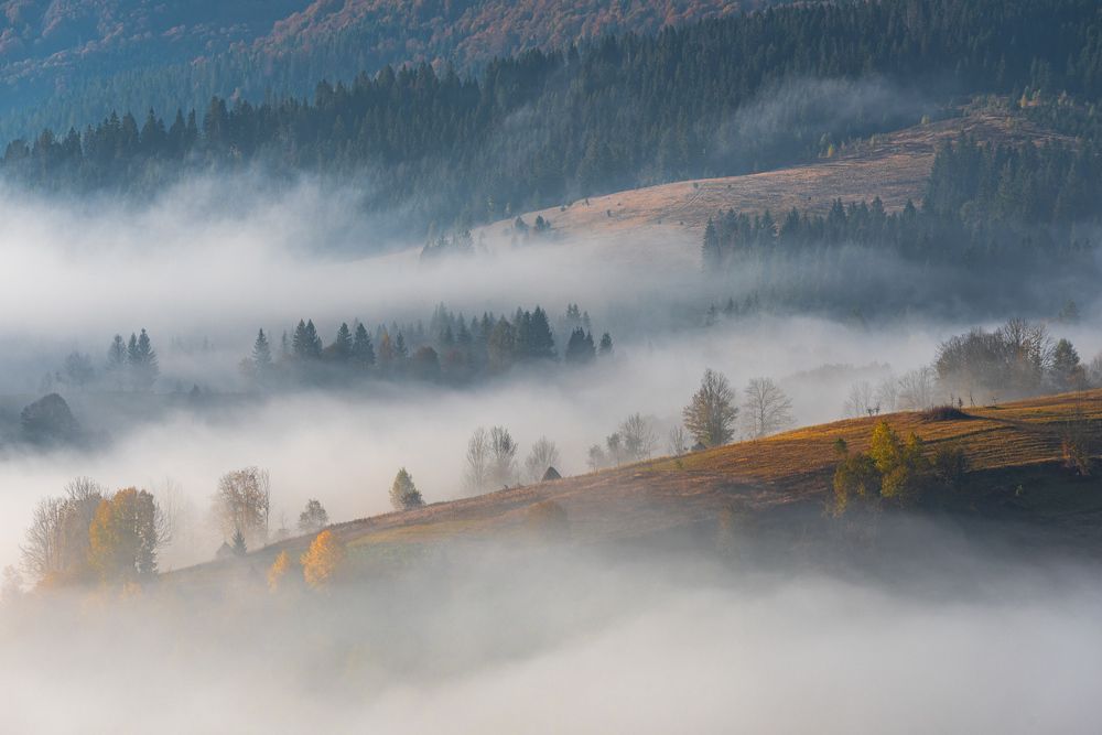 Photograph by Крицак Ольга