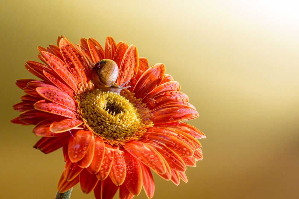 Photograph by Sosa Betsabé