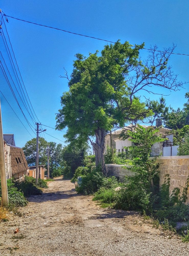 Photograph by Ольга Хромова