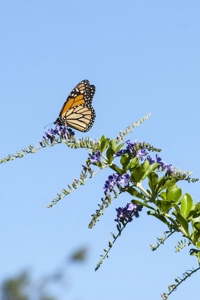 Photograph by Juan José Rodas