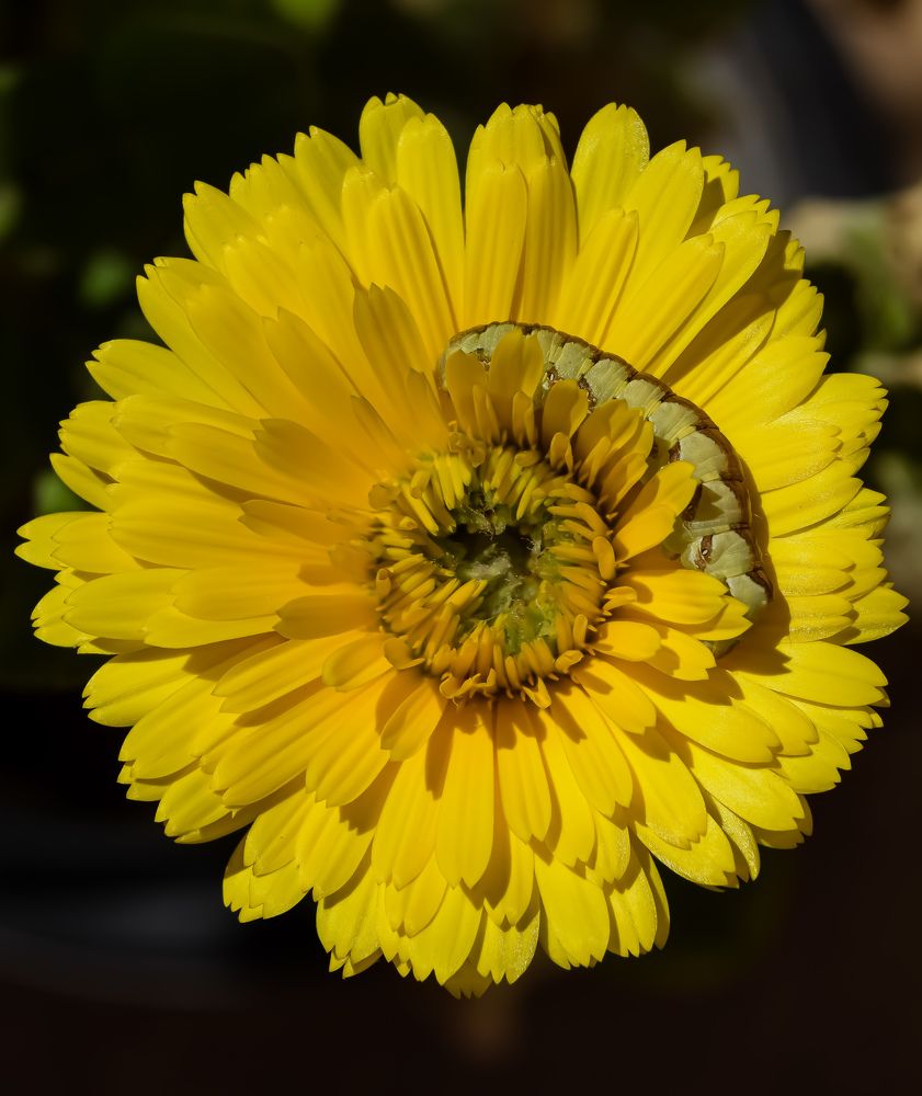 Photograph by imed ghrairi