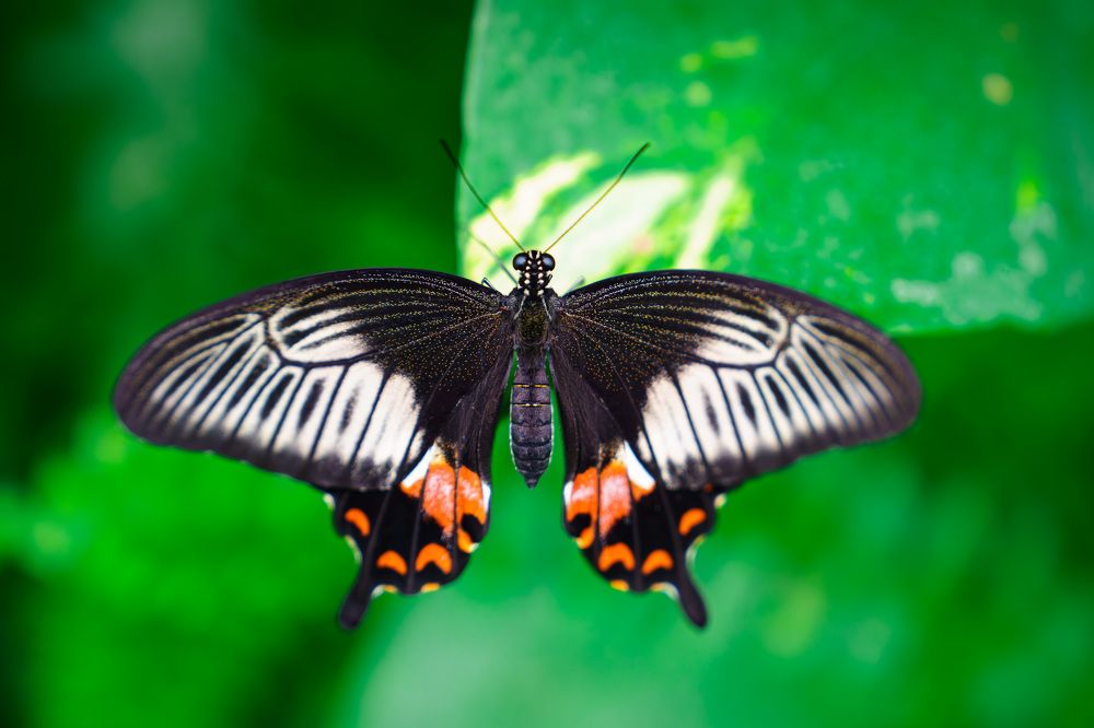 Photograph by Ilja Enger-Tsizikov