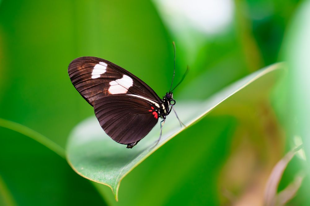 Photograph by Ilja Enger-Tsizikov