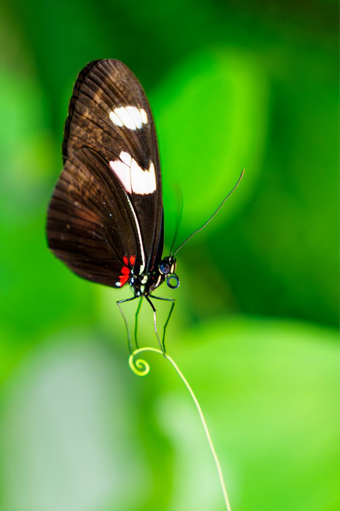 Photograph by Ilja Enger-Tsizikov