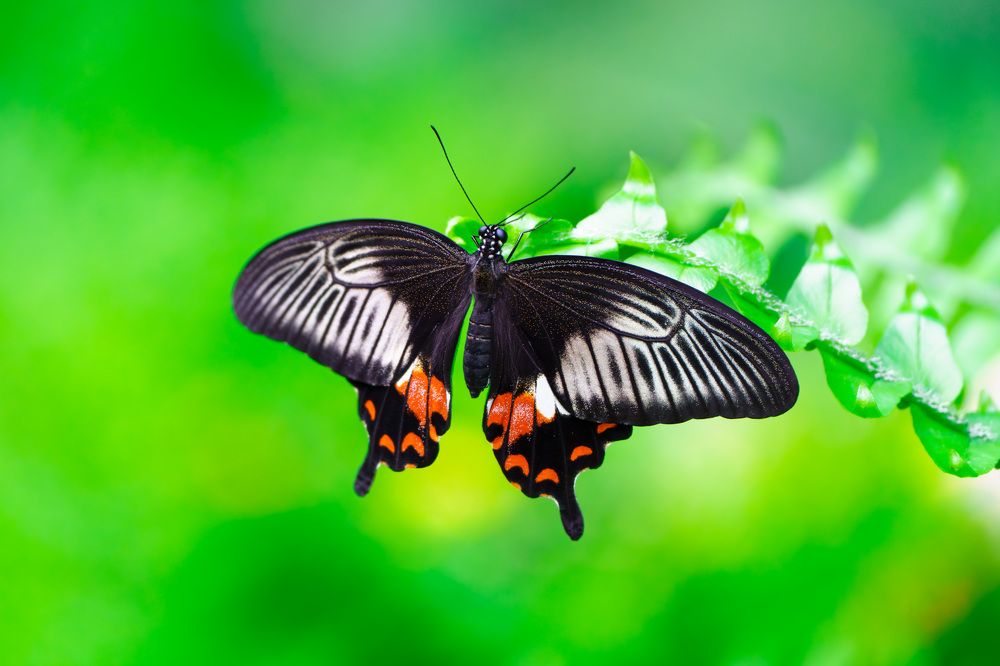 Photograph by Ilja Enger-Tsizikov