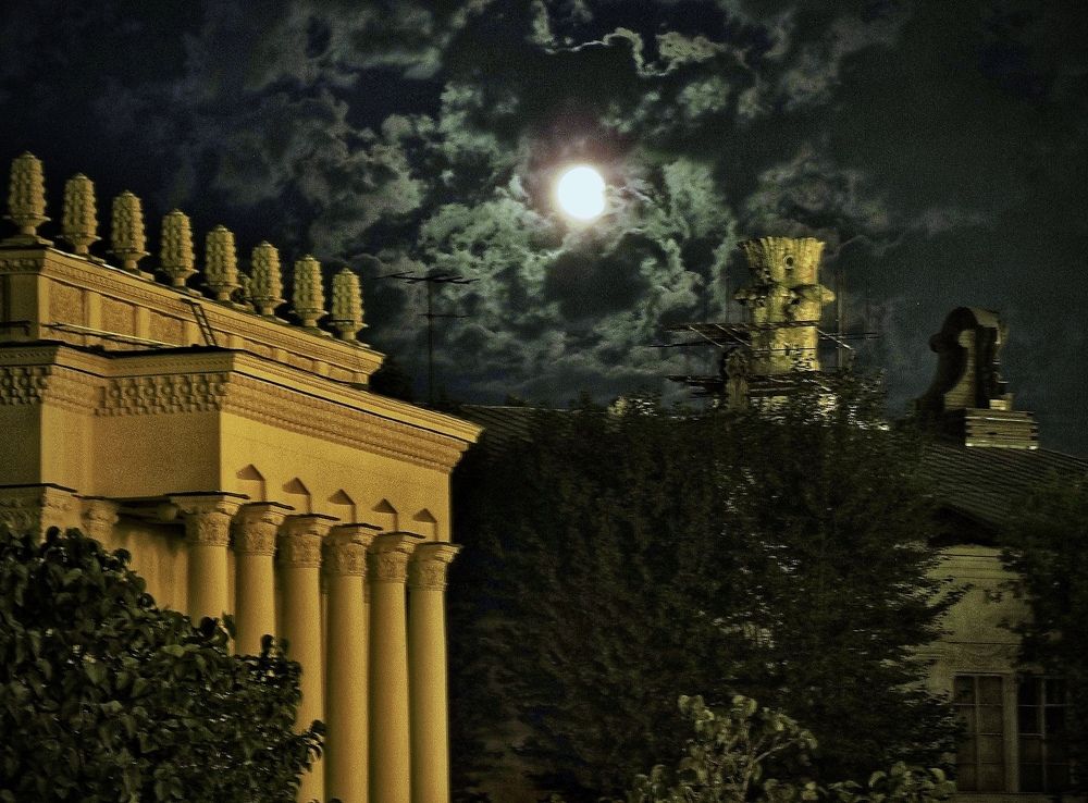 Photograph by Светлана Богомолова