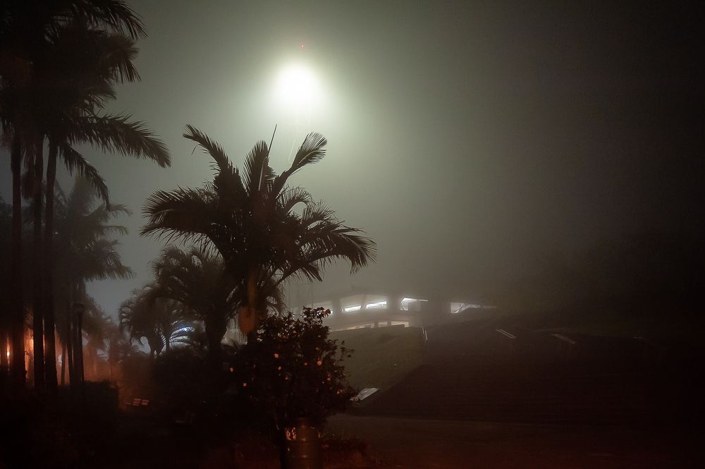 Photograph by Armando López-Guerrero