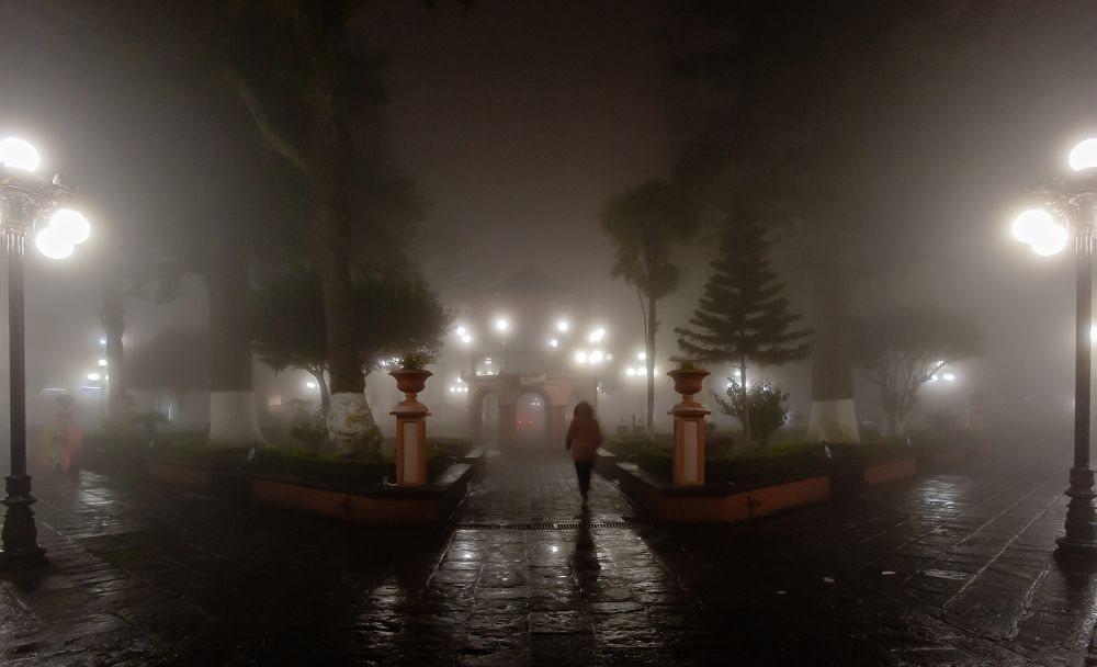 Photograph by Armando López-Guerrero