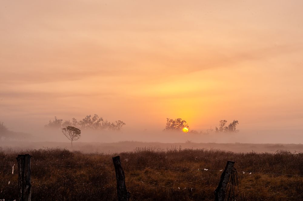Photograph by Armando López-Guerrero