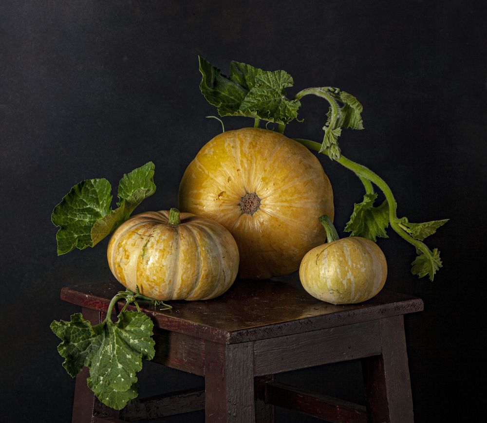 Photograph by Татьяна Попова