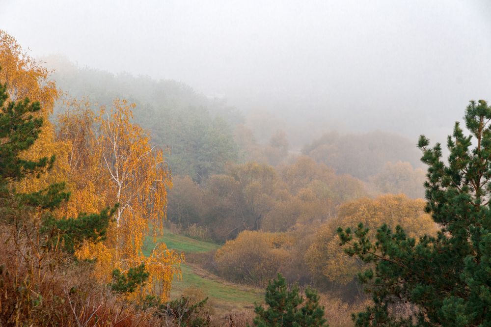 Photograph by Дмитрий Тимин