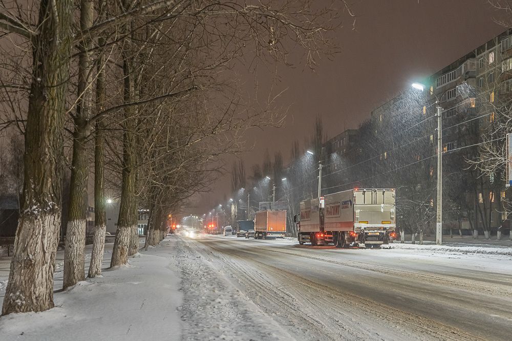 Фотография автора Николай Бологов