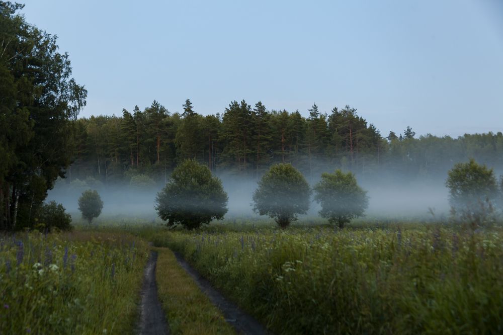 Фотография автора Вадим Лабитов