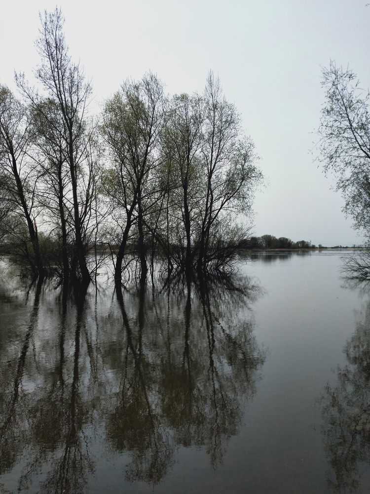 Photograph by Елена Глухарева