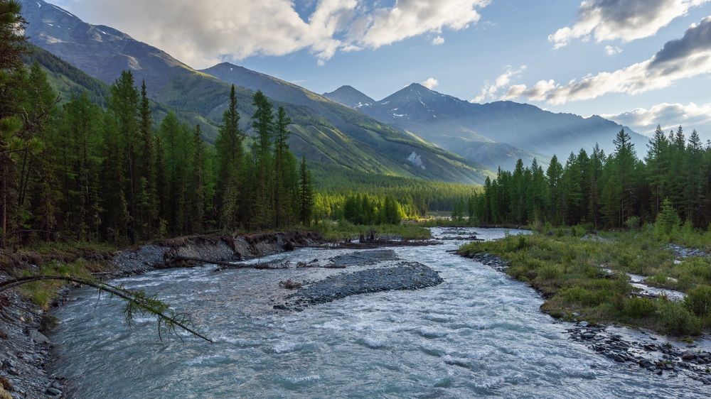 Фотография автора Oleg Matronitskiy