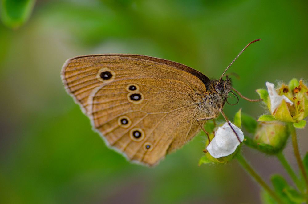 Photograph by Леонид Оплетаев