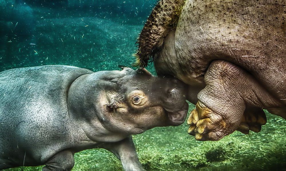 Photograph by Александр