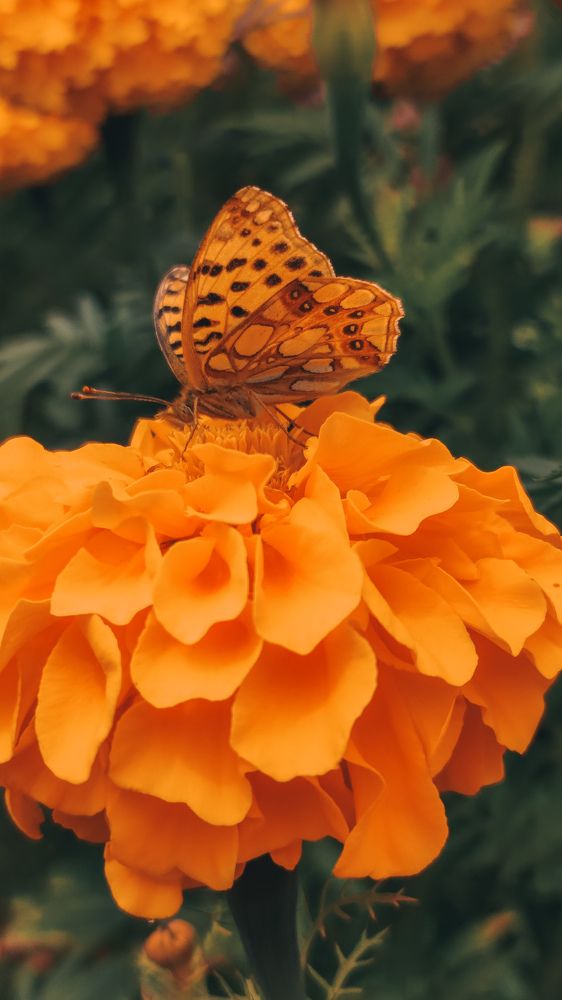 Photograph by Глушакова Татьяна Николаевна