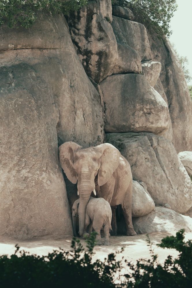Photograph by Olga Gorokhova