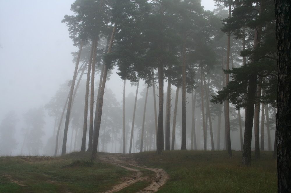 Photograph by вячеслав милов