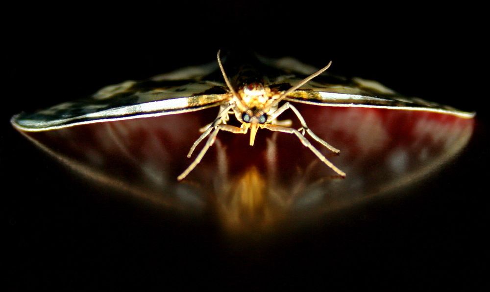 Photograph by вячеслав милов