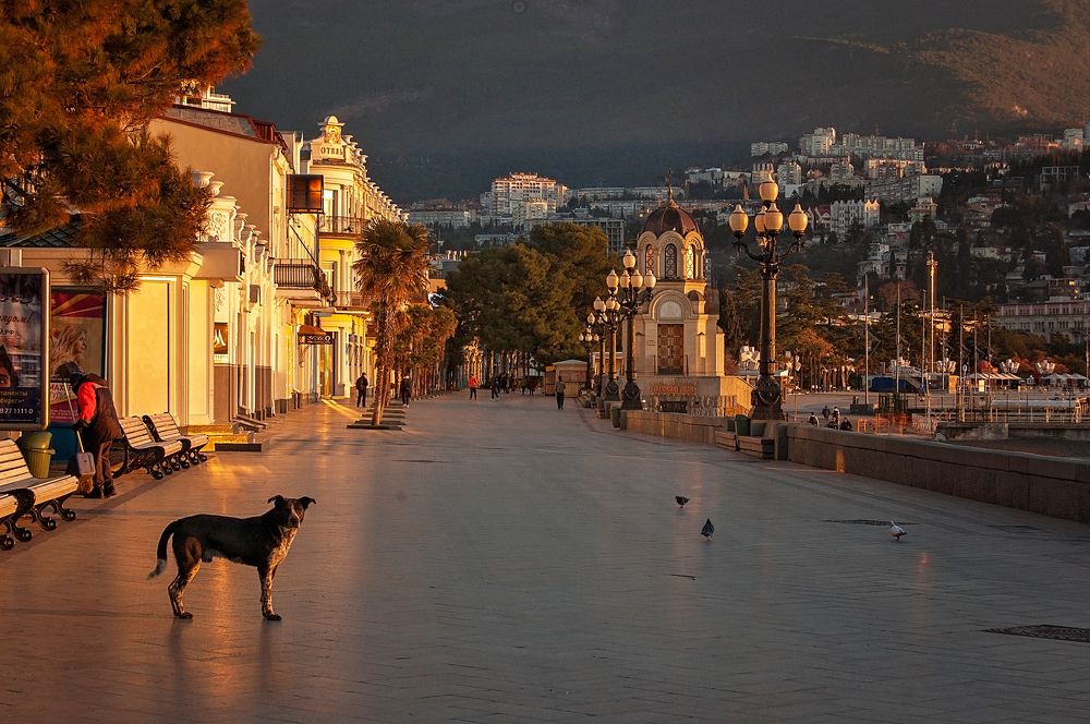 Photograph by Дмитрий Рассыльщиков