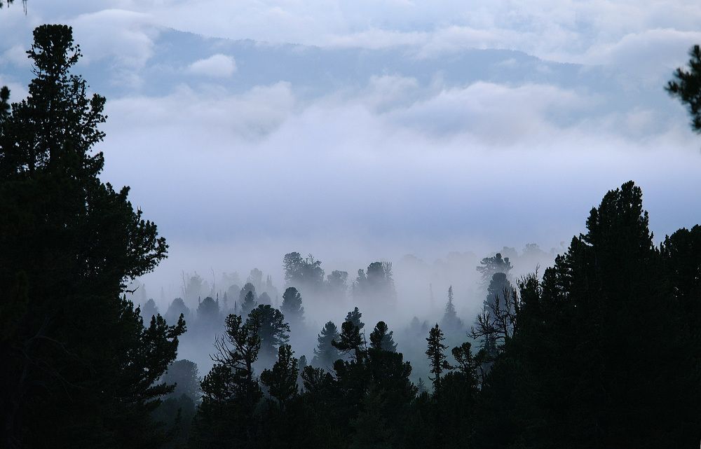Photograph by Дмитрий Ткаченко