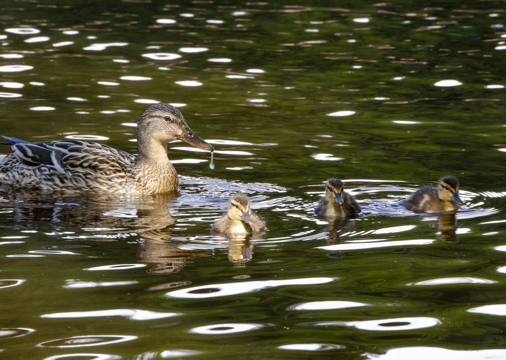 Photograph by Любовь Бусова